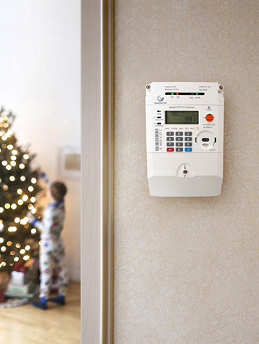 HOMEproductssolutionssmartmetering370x492.jpg