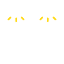 youceSmartSLSrightSolutionfront.png